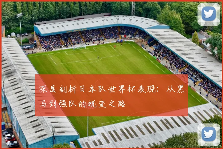 深度剖析日本队世界杯表现:从黑马到强队的蜕变之路