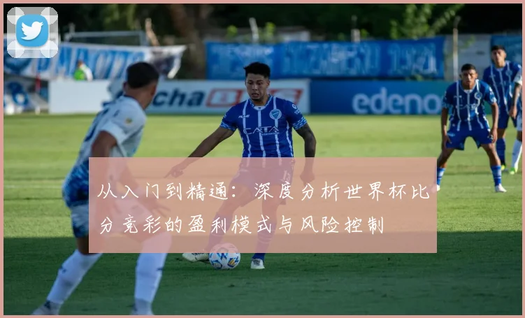 从入门到精通：深度分析世界杯比分竞彩的盈利模式与风险控制