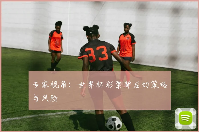 专家视角:世界杯彩票背后的策略与风险