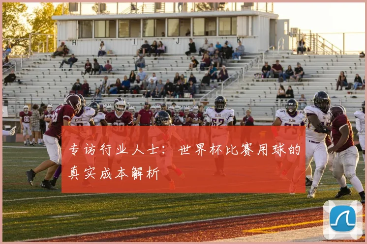 专访行业人士:世界杯比赛用球的真实成本解析