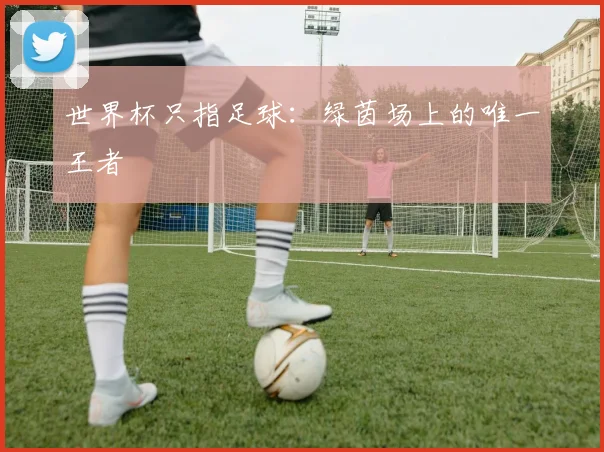 世界杯只指足球:绿茵场上的唯一王者