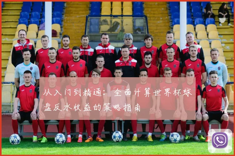从入门到精通：全面计算世界杯球盘反水收益的策略指南