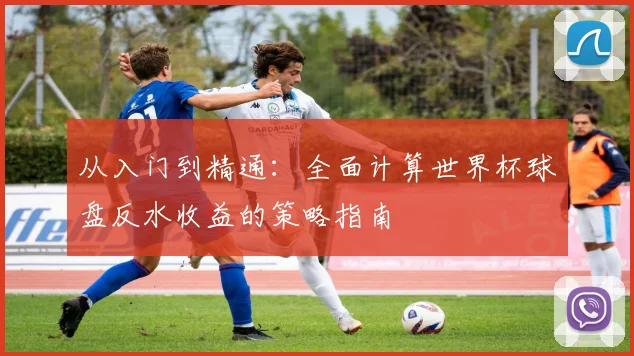 从入门到精通：全面计算世界杯球盘反水收益的策略指南