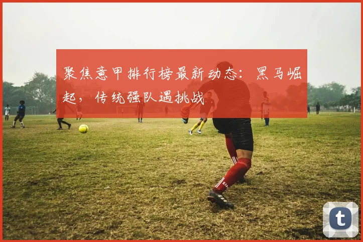 聚焦意甲排行榜最新动态：黑马崛起，传统强队遇挑战